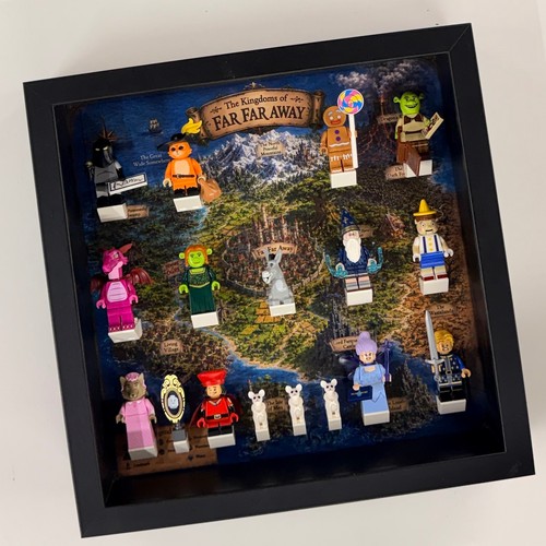 Display frame case - for, ®